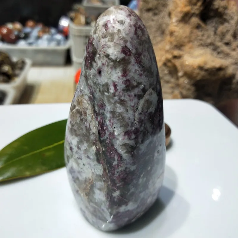 conew_img20190309160544