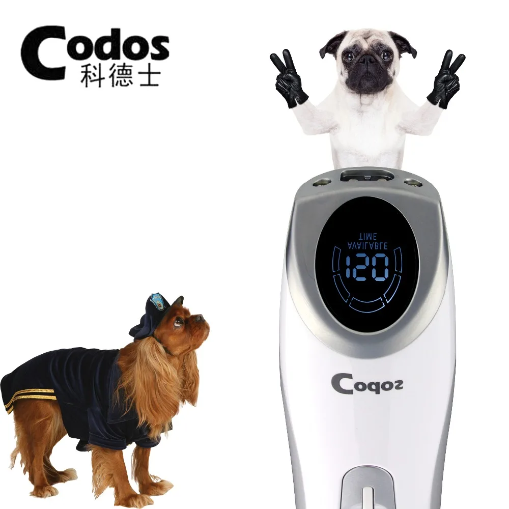 codos cp9600