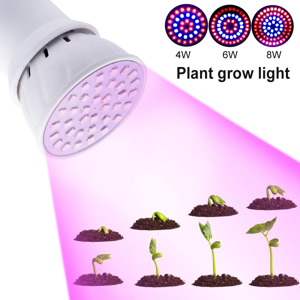 Low Heat E27 LED Grow Light Plant Culturing Lamp Holder For Indoor