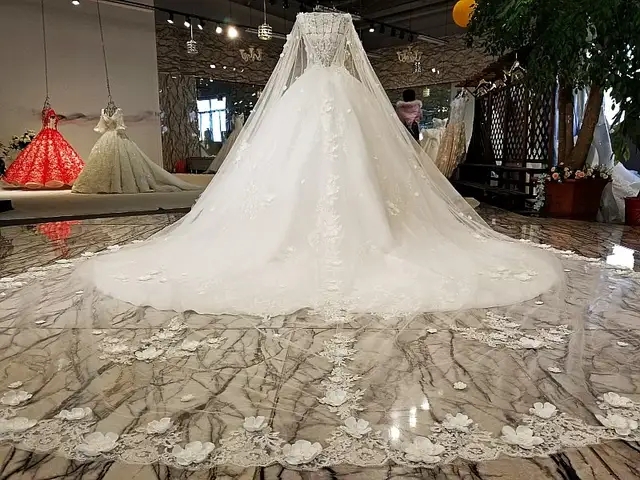 Decent Wedding Dresses with Sleeves