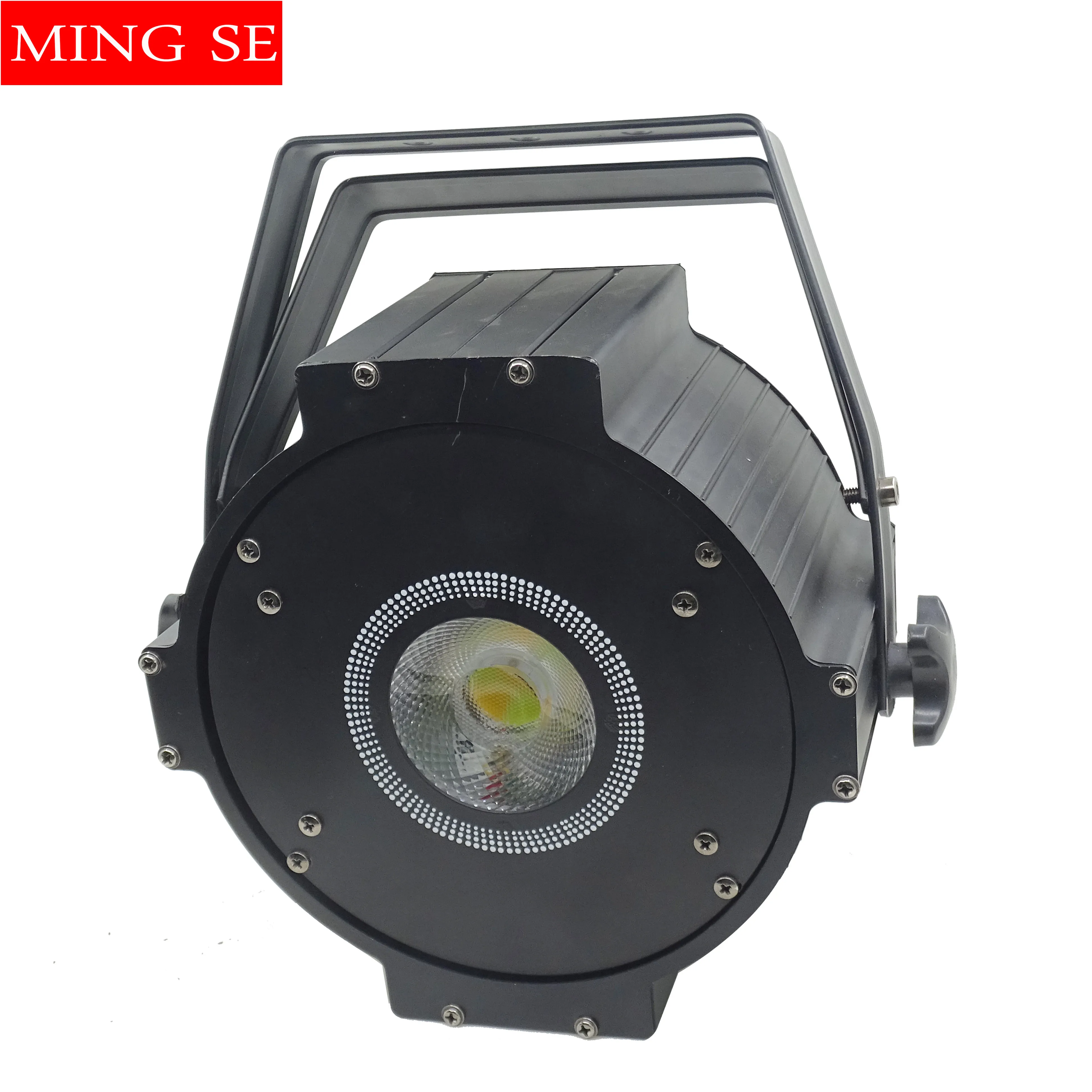 

100W COB Lights Dyeing Lights Warm White/Cool White 2in1 Professional Stgae Equipment Flood Light