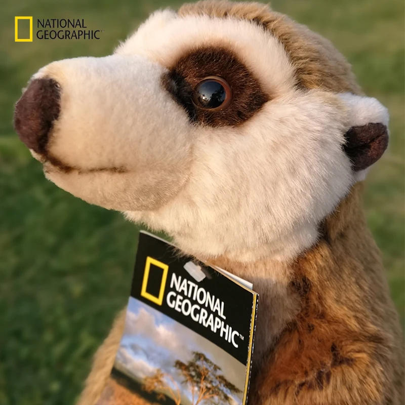 peluche de suricata