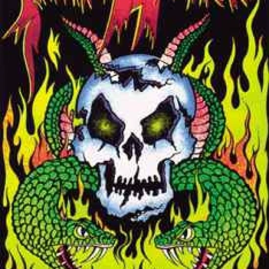 Snake Attack Poster Print (24 X 36)