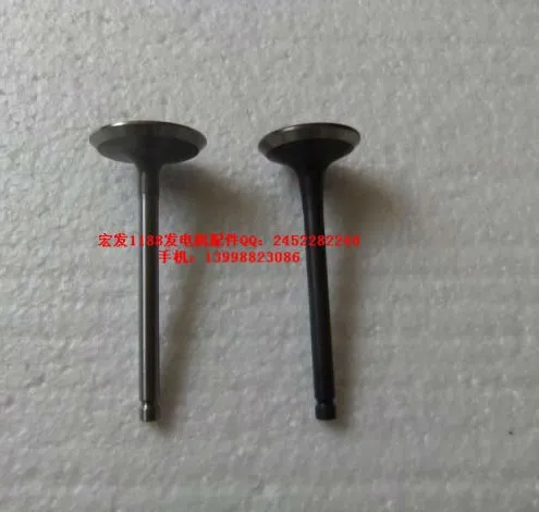 

GENUINE IN.& EX VALVE SET FOR YAMAHA EF12000 EF13000 INTAKE VALVE & EXHAUST VALVE CHEAP GENERATOR PARTS
