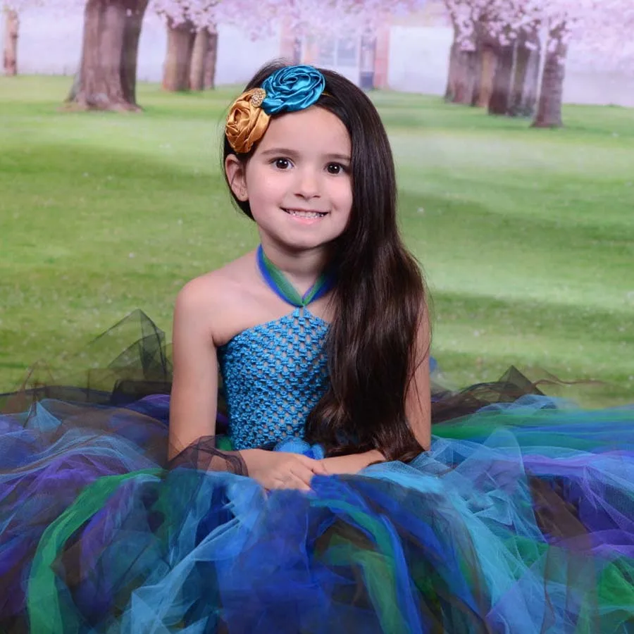 Handmade Peacock Inspired Girls Tutu Dress Party Dresses Holiday Clothing Baby Dress Up Fancy Tutus Vestidos (3)