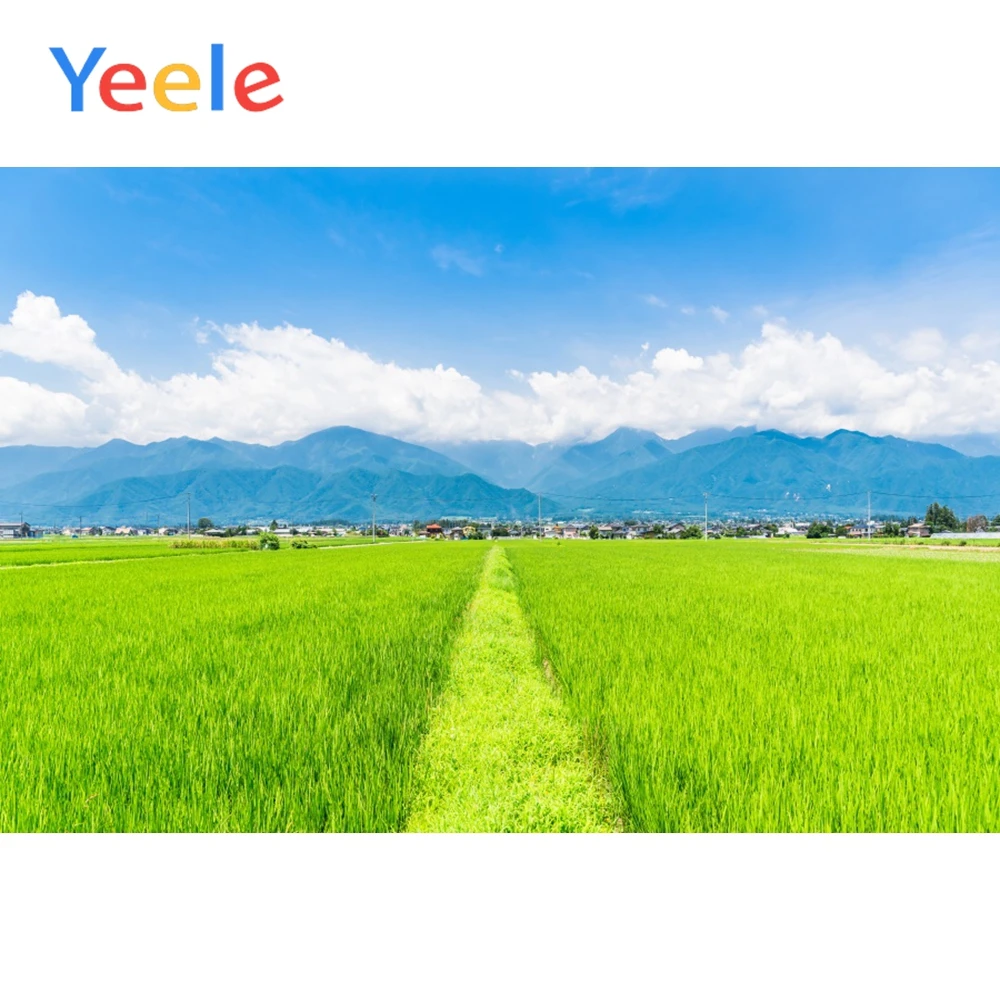 

Yeele Landscapes Blue Sky Green Wheat Field Scene Props Portrait Backgrounds Photography Photographic Backdrops For Photo Studio