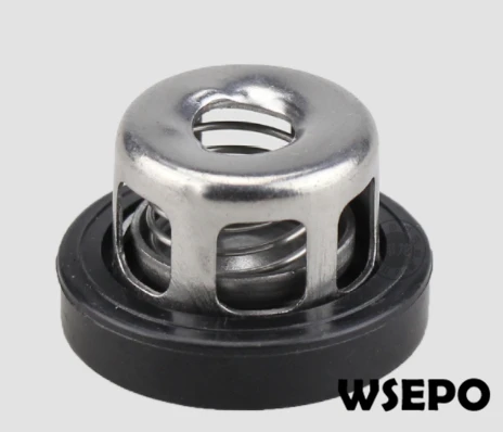 gasoline applied plunger valve spray fits pressure pump seat land farm