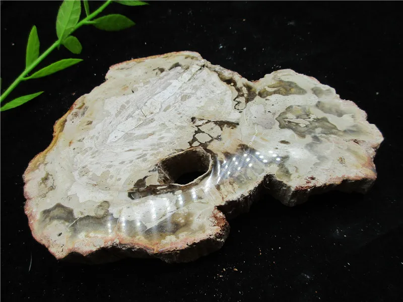 Natural Wood Root Fossil Crystal Stone Rock Healing Gemstone Specimen Mineral Gem For Collection | Дом и сад