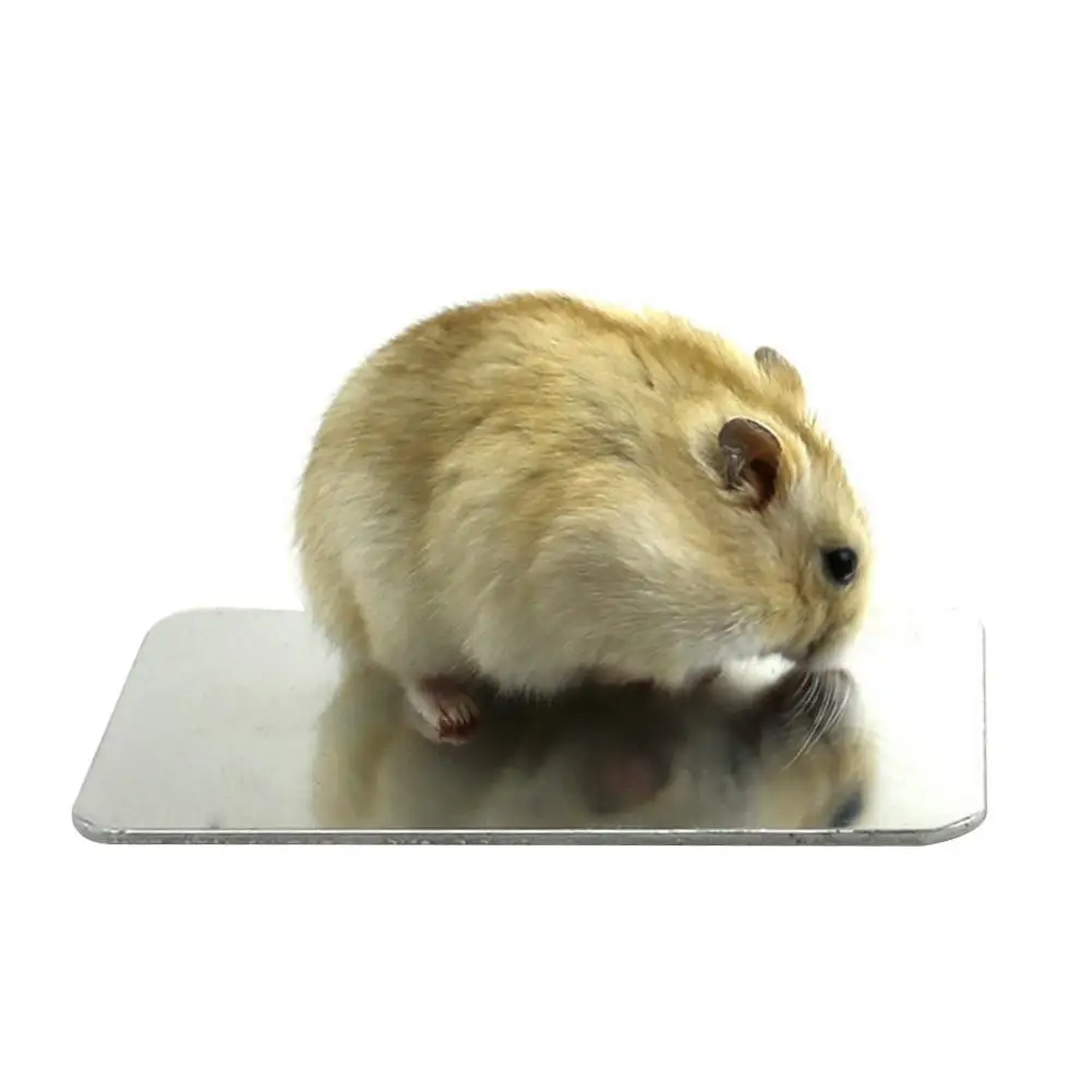 

Latest Original Cool Plate for Rabbit Hamster Large-sized Pet Cooling Plate Cooling Mat for Puppy Small pets Dropshipping
