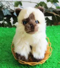 Simulation Siamese Cats Plush Kids Toys Pet Toy Cute Cat West Baby Gifts