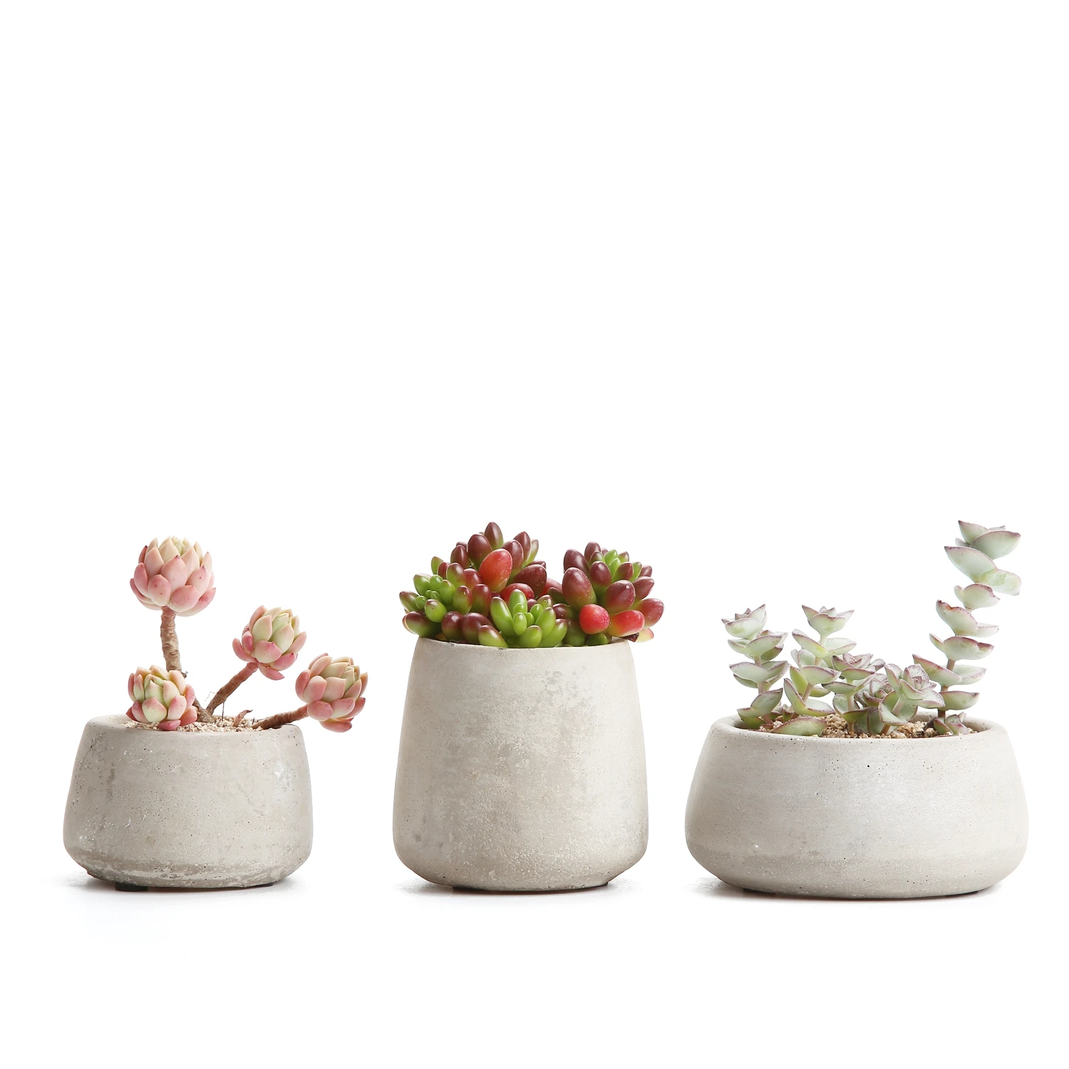 

T4U 3.5 Inch Cement Serial Big Round succulent planter Cactus Plant Pots Flower Pots maceta bonsai Planters Containers