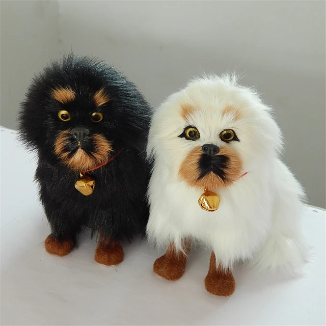 tibetan toy dog