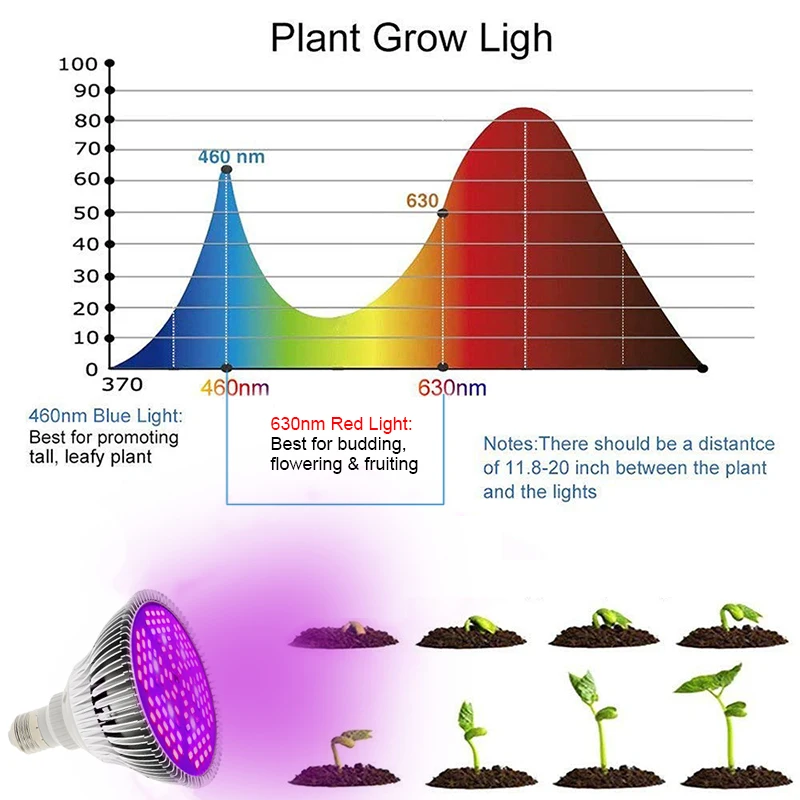 Фитолампа Fitolamp полный спектр светодиодный светать 10 W 30 W 50 W 80 W красные, синие УФ ИК роста лампы для гидропоники цветы Овощеводство