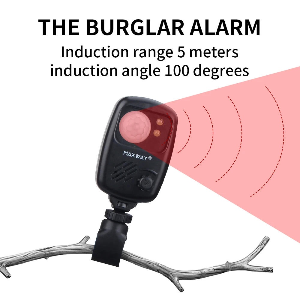 burglar alarm