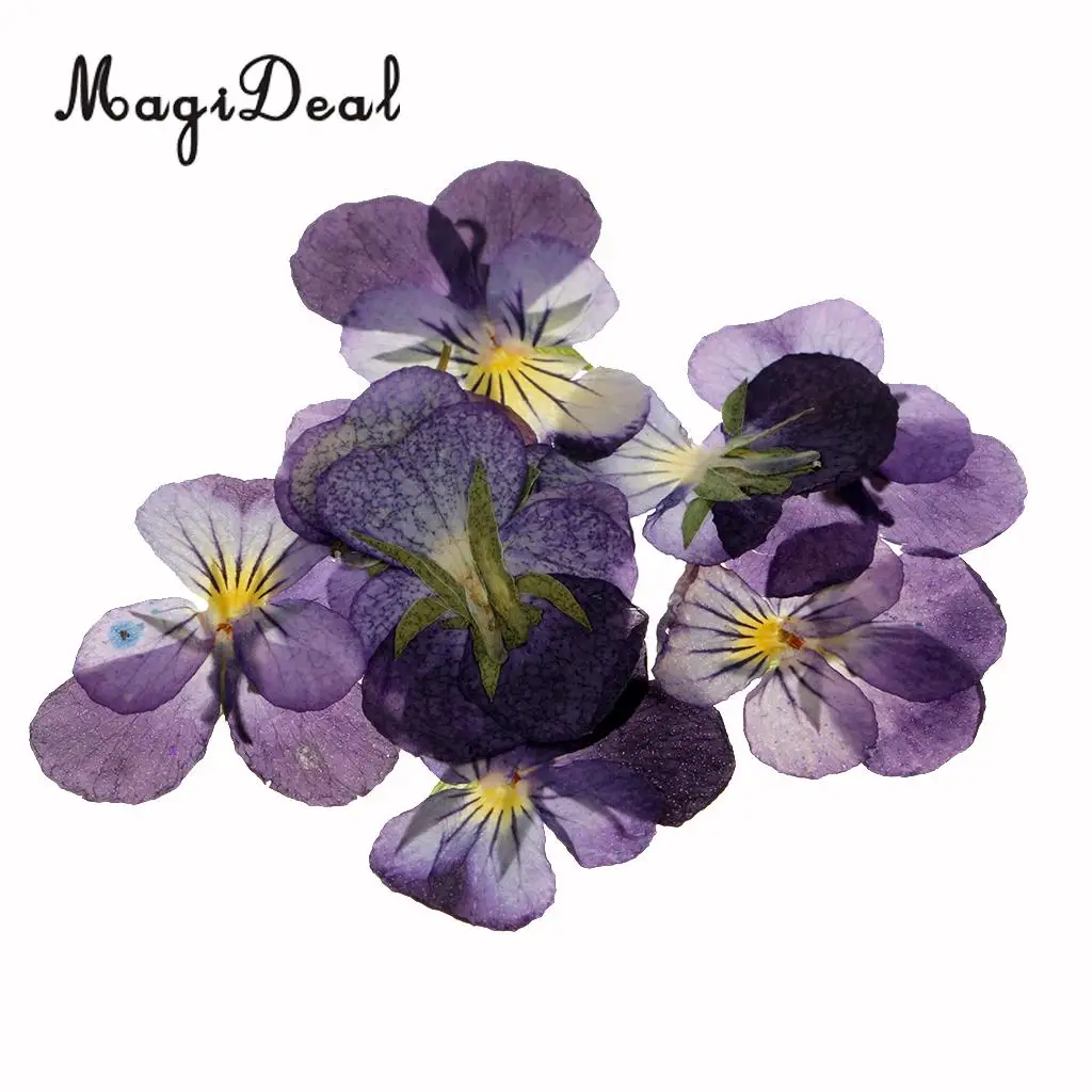 22pc Assorted Dried Pressed Flowers Real Violet & Sage Plant Herbarium For Scrapbooking Card Making DIY Jewelry Phone Case Craft