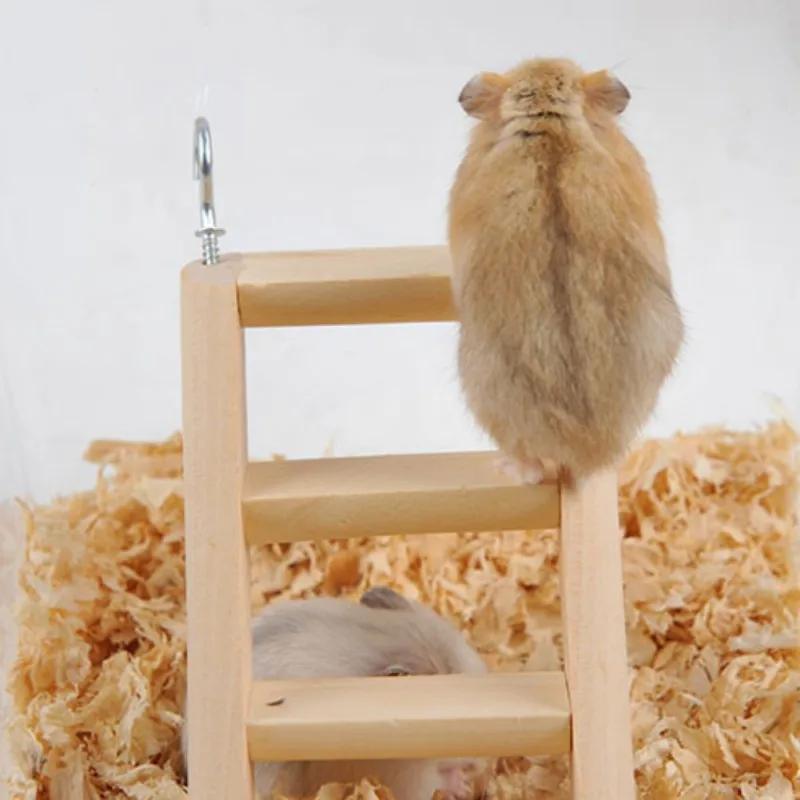 Buy Hamster Ladder Stand Wooden Climbing Toy Solid