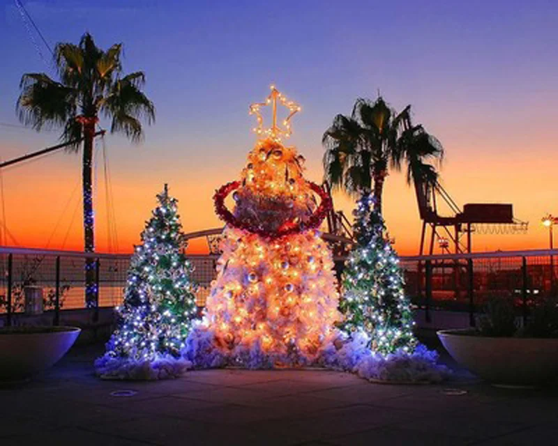 led holiday christmas string light lamp rgb white warm white adjustable holiday light (4)