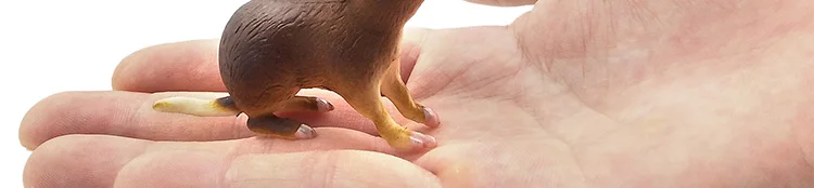 -2-DW-M-LP433-546_02