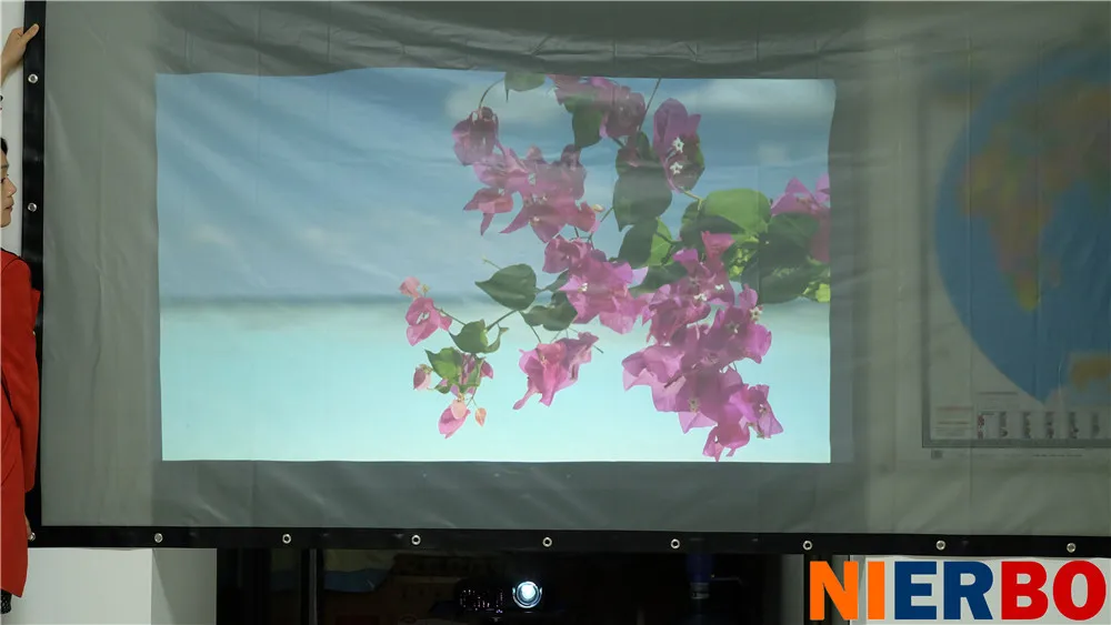 Projector Details