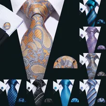 Barry.Wang, 20 цветов, шелковые галстуки Пейсли для мужчин, подарки, Свадебный галстук, набор носовых платков для мужчин, деловые S-20P для жениха