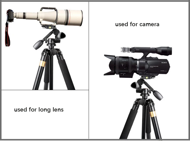 QZSD-Q620-tripod-6