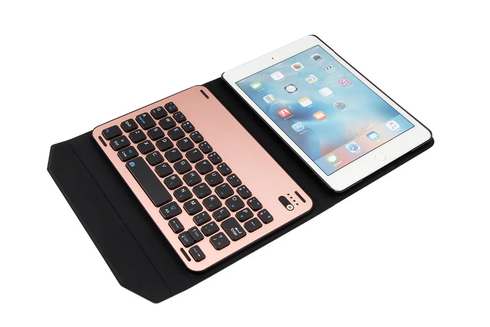 iPad mini  1009 (25)