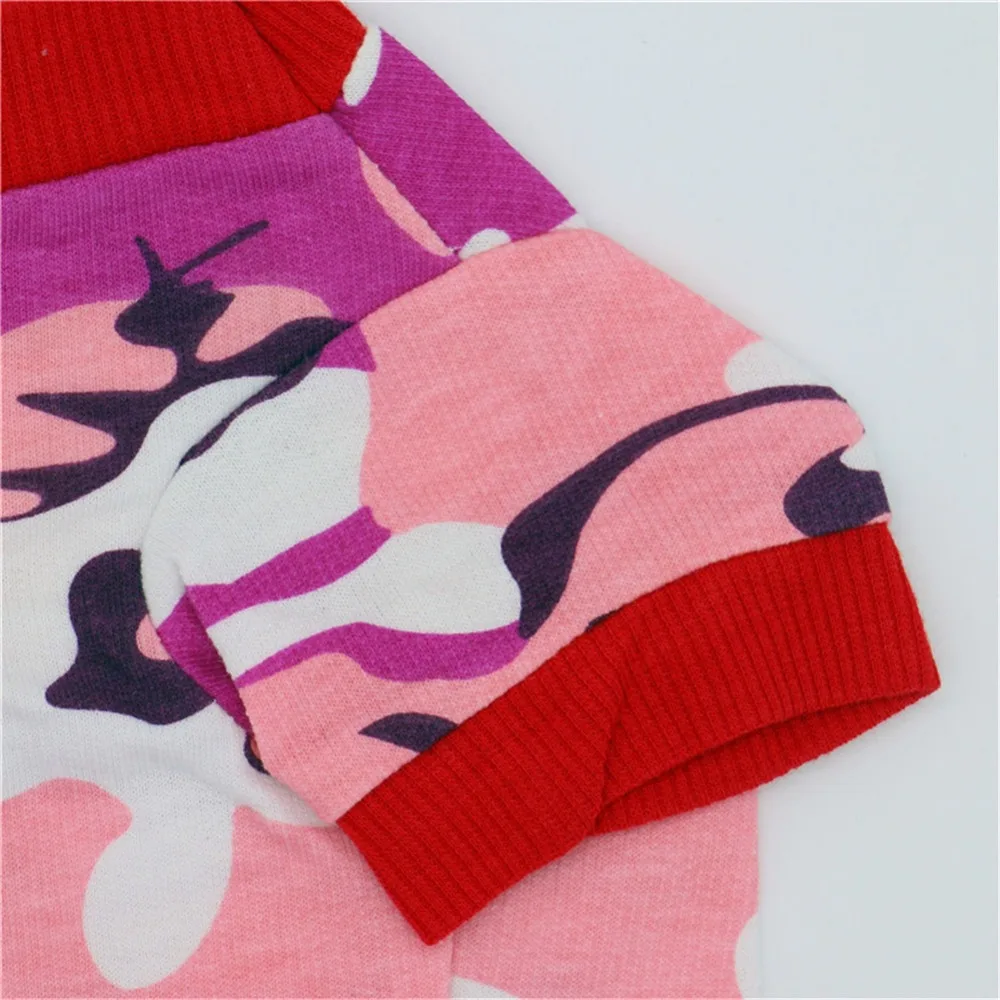 4323572375_361259826