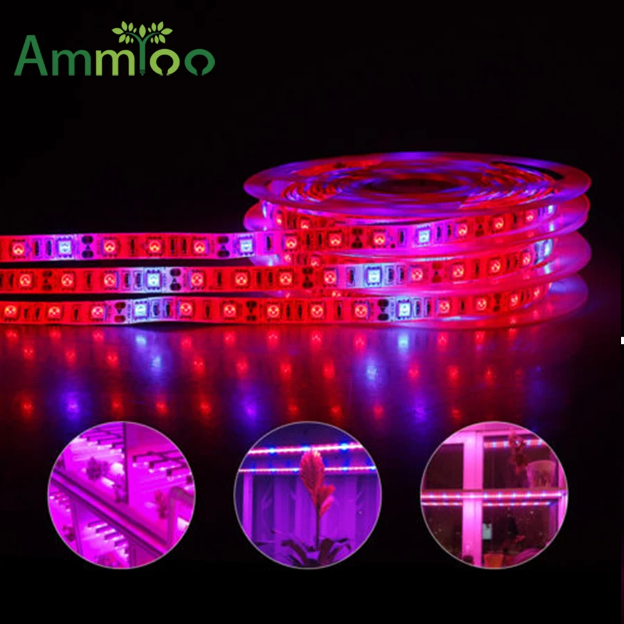 Полный спектр Led Grow Light красный + синий Крытый сад гидропоники Светодиодные полосы