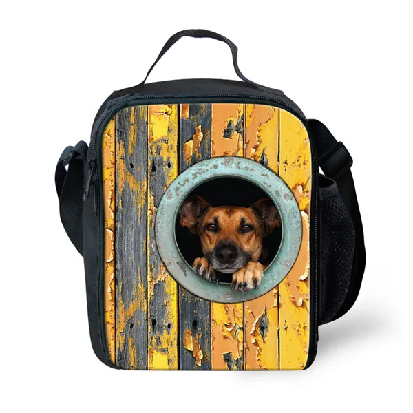 FORUDESIGNS милая собака мопс Термосумка для пищи для детей путешествия термоизолированные полиэфирные сумки для обедов, Термосумка сумки Termica - Цвет: C0053G