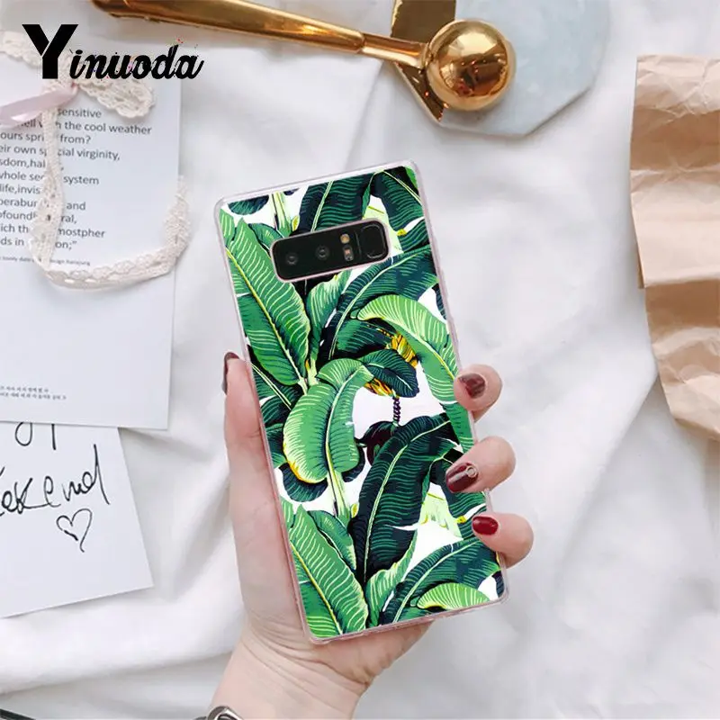 Tropical Plants Cactus Banana Leaves