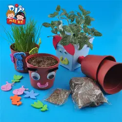 Игрушки для обучение маленьких детей развивающие игрушки для детей DIY видов посадки растения в горшках DIY материалы по системе Монтессори