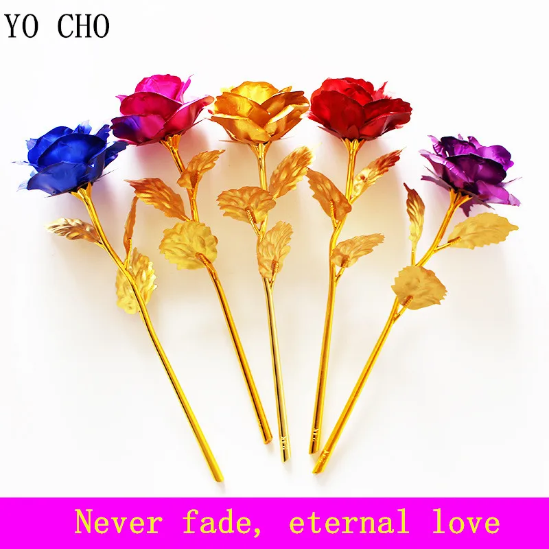 7888252296_1081307585_