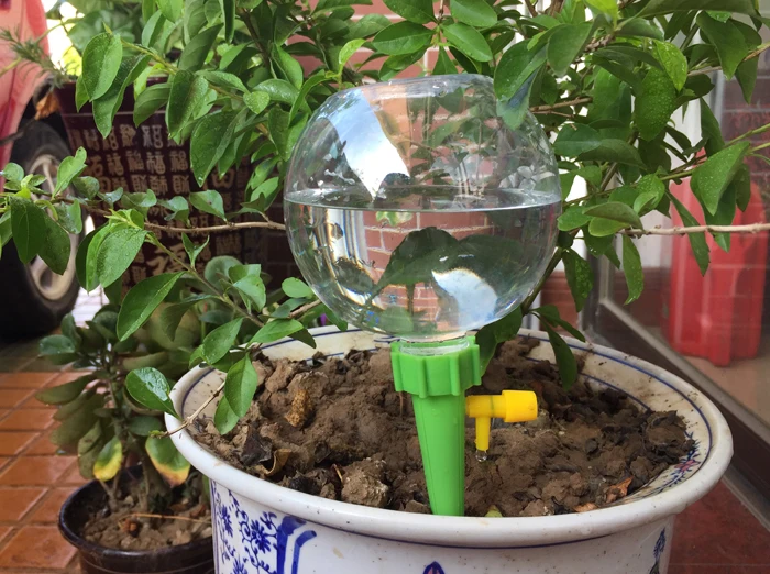 滴水器浇花详情6
