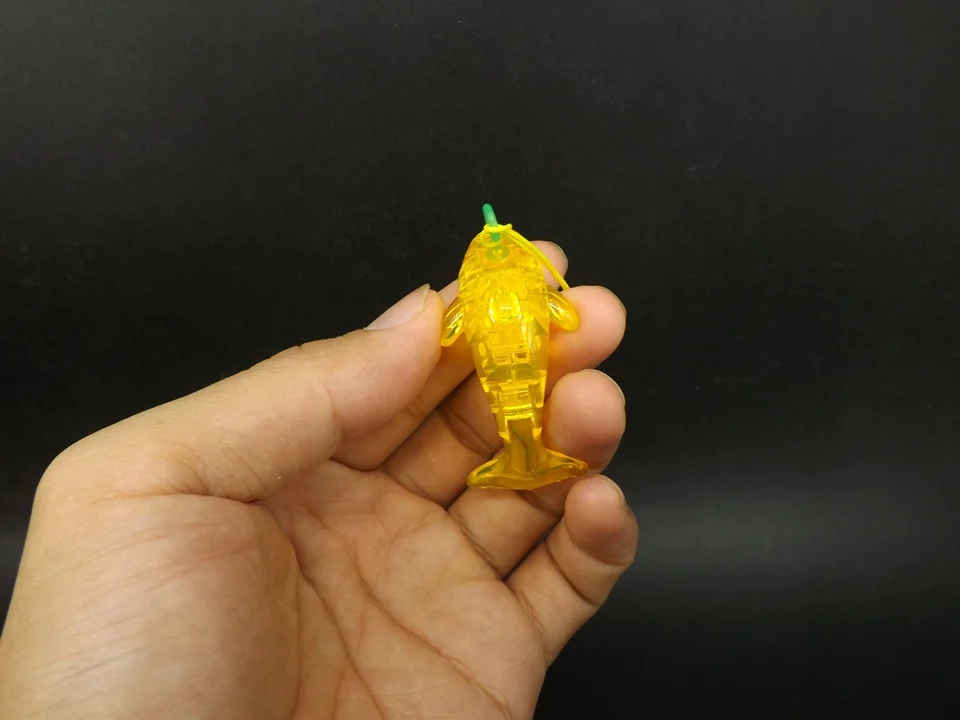 PP082-Dolphin-F-Y (4)