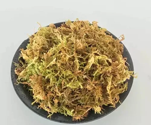 

100g Dried Moss Dendrobe Orchid Moisturizing Nutrition Soil/Aquariom Decor Moss/Tortoise Animal Sleeping Moss