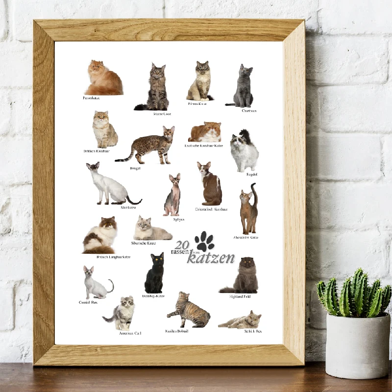 Cat breeds poster in Spanish canvas prints Home ‪Decor4