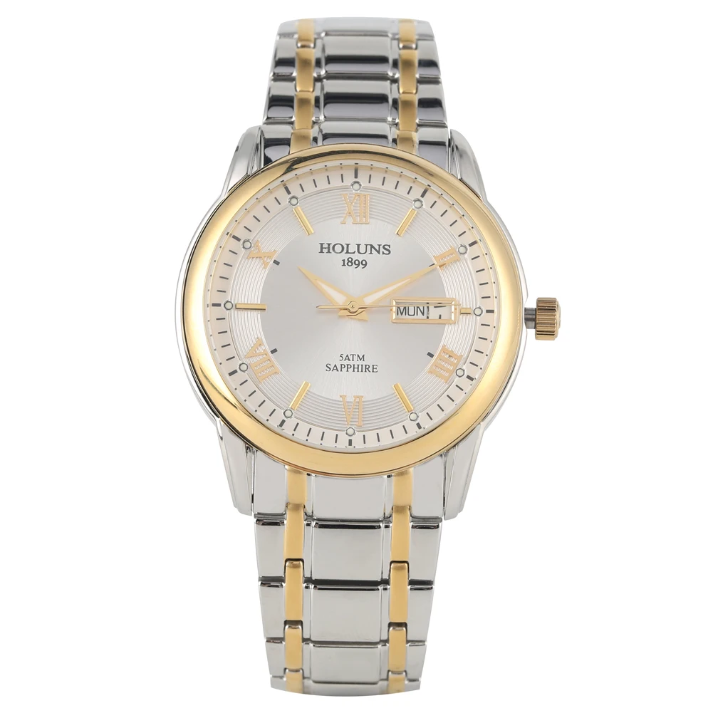 Relógio Masculino Automático Relógio Mecânico Clássico Esqueleto de Aço Inoxidável Numerais Romanos Ouro Dial Relógio de Pulso