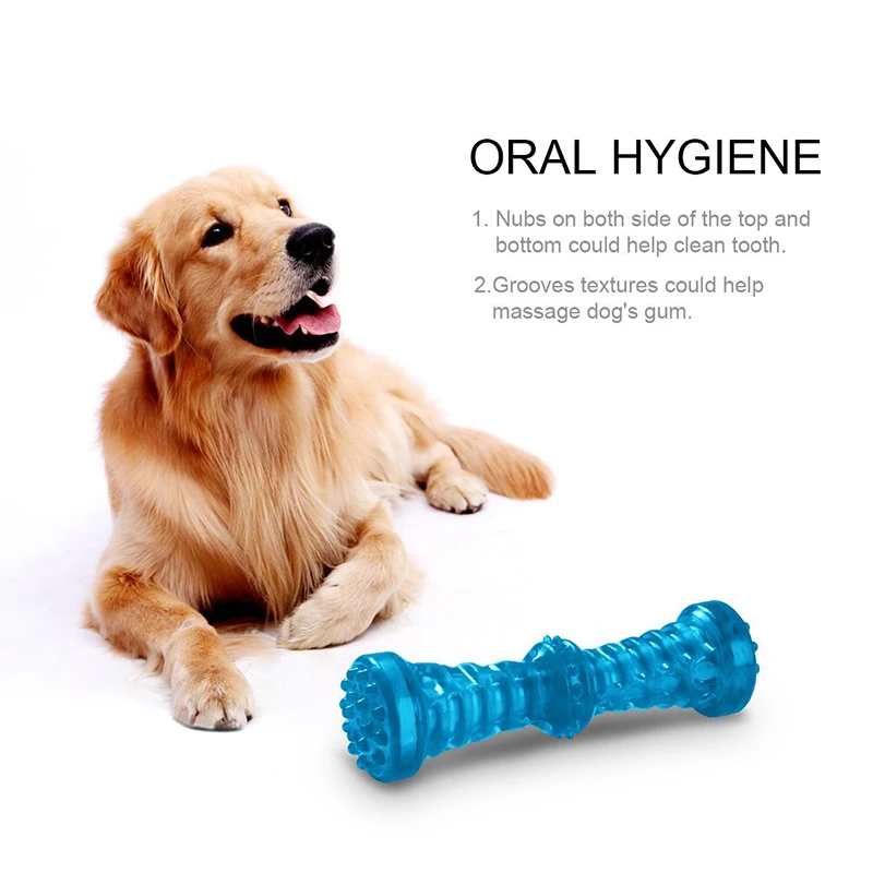 petcircle new arrival pet dog toys rubber dog squeaker toys for small