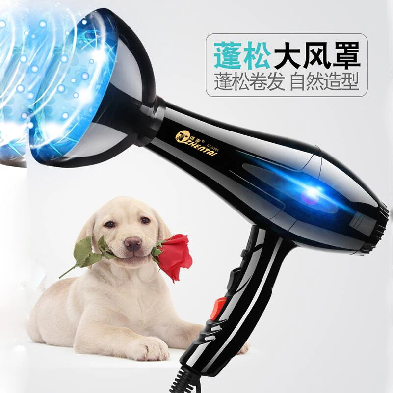 3200W Multi Electric Pet Hair Dryer Water Machine High Power Mute Dogs Hair Brush Blower Golden