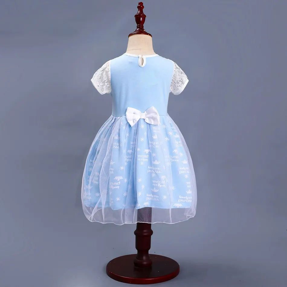 Elsa Anna Princess Cosplay Costume (13)