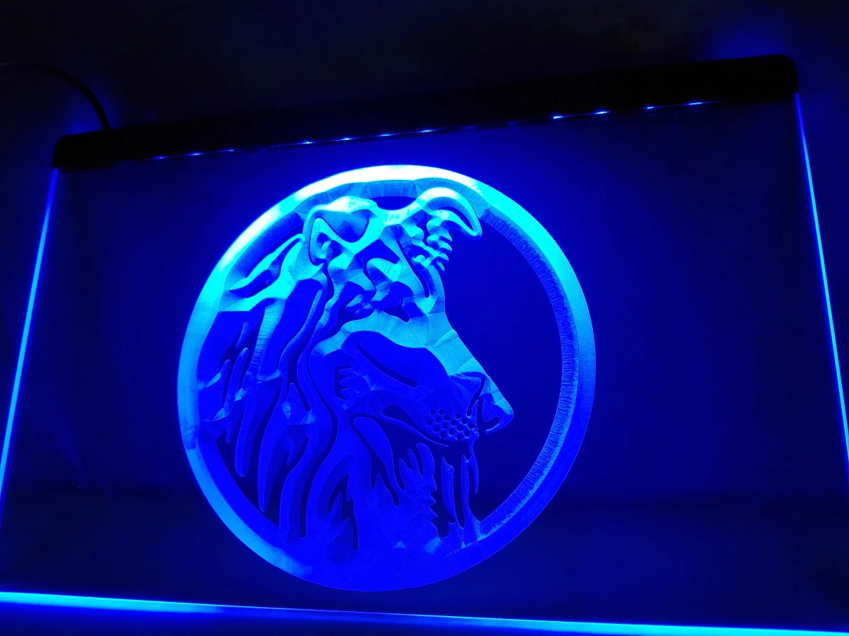 LB690- Sheltie Dog Pet Display NEW LED Neon Light Sign home decor crafts | Дом и сад