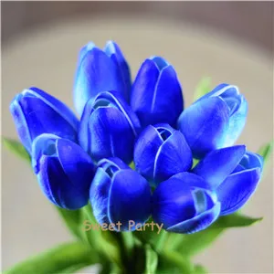 29 blue