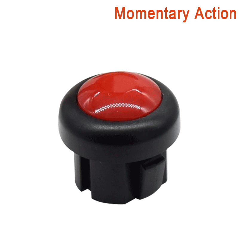 DSC_0778-momentary-action-1