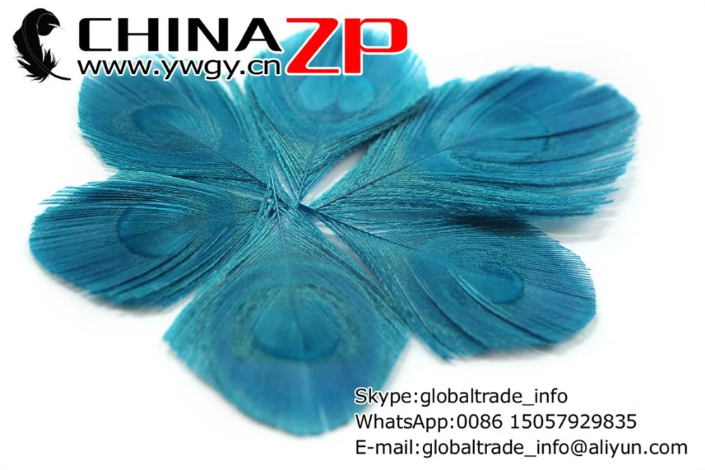 Trimmed Peacock Feather Eye Turquoise (5)