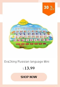 dianxiaobao
