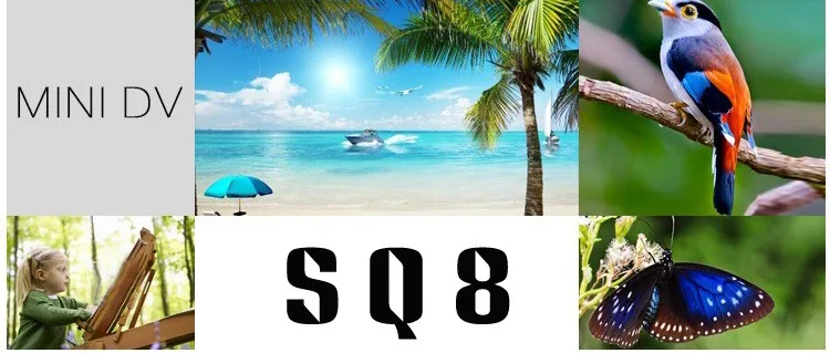 2619456896_1828171907