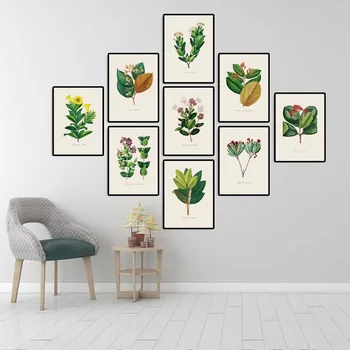 

Home Decoration Print Canvas Wall art poster oil unframde Drawings paintings Retro Green plant leaves Serise one