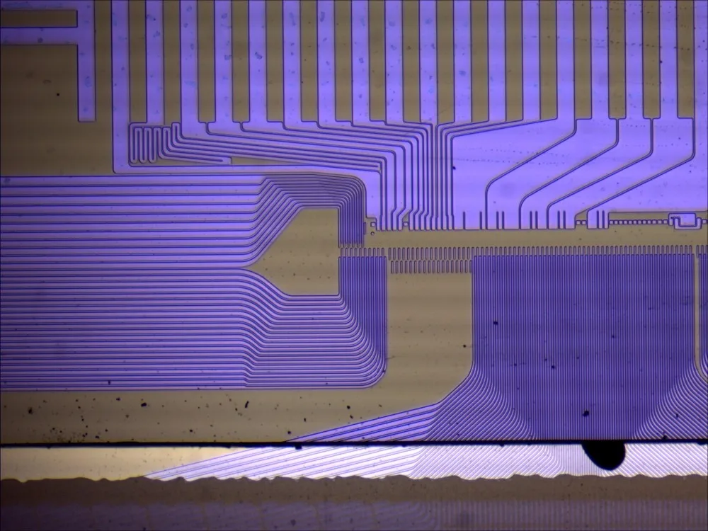 CC