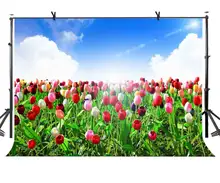7x5ft Colorful Tulips Backdrop Lush Colorful Tulip Beautiful Photographic Background and Studio Photography Backdrop Props 7x5ft Colorful Tulips Backdrop Lush Colorful Tulip Beautiful Photographic Background and Studio Photography Backdrop Props