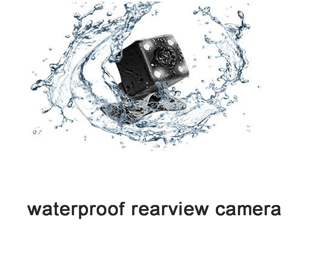 3795575102_253559152